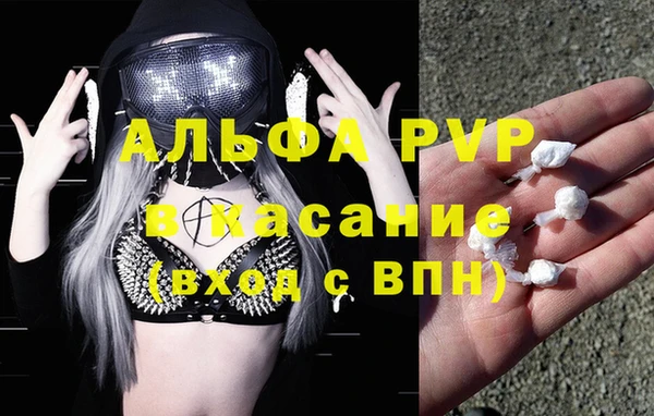 эйфоретик Осинники