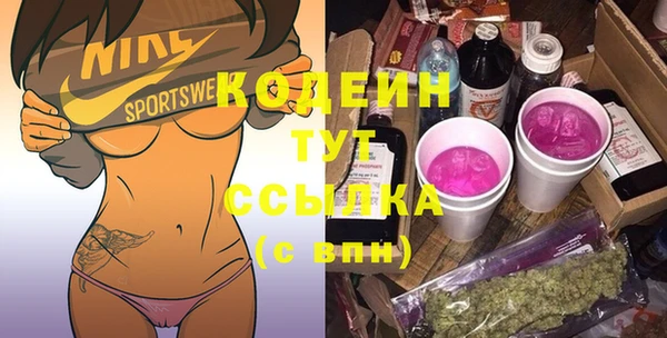 шишки Нягань