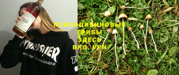 шишки Нягань