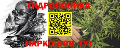 a pvp Гатчина