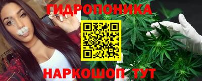 индика Гагарин