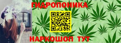 индика Гагарин