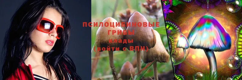 кракен ONION  Зеленодольск  Псилоцибиновые грибы MAGIC MUSHROOMS 