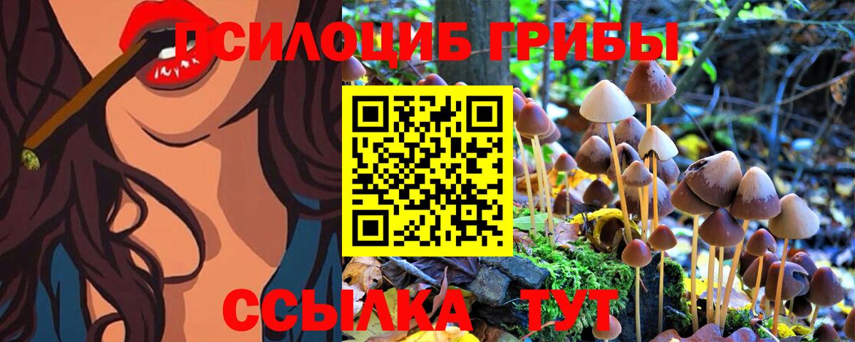 Псилоцибиновые грибы Cubensis  Вход с VPN  Зеленодольск 